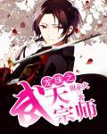 龙珠之武天宗师 龙珠之武天宗师