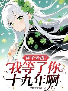 你个笨蛋!我等了你十九年啊 你个笨蛋!我等了你十九年啊